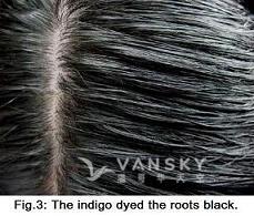 240910163320_Hair-Dyed with indigo-s.jpg